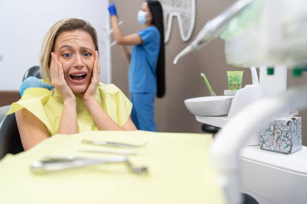 Best Emergency Dental Services for Seniors in St Leo, FL